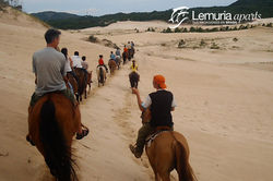 Brasil | Floripa | Lemuria Aparts