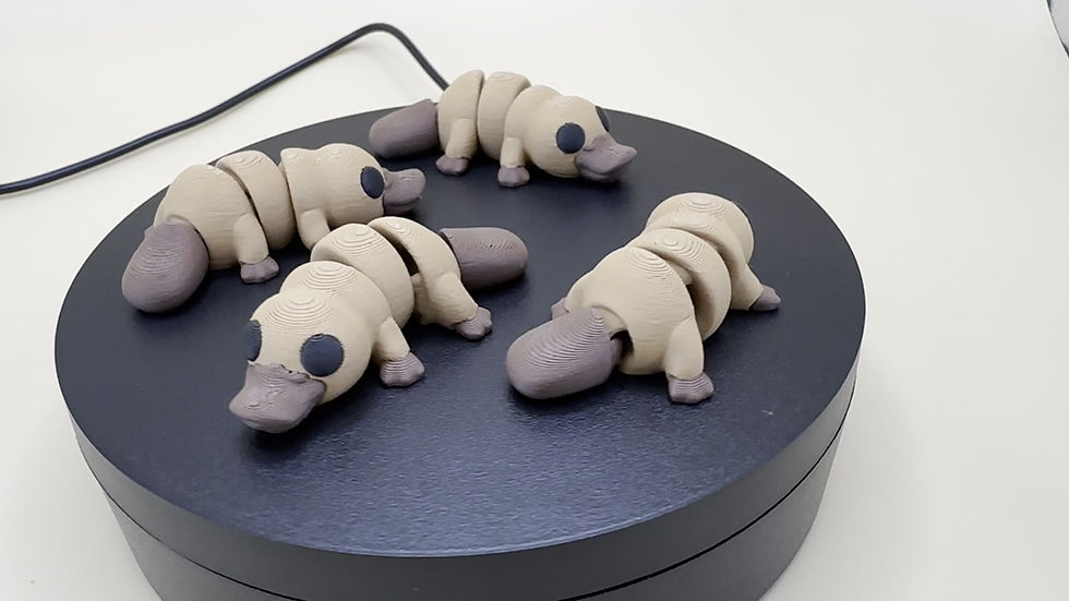 Thumbnail: Baby Platypus