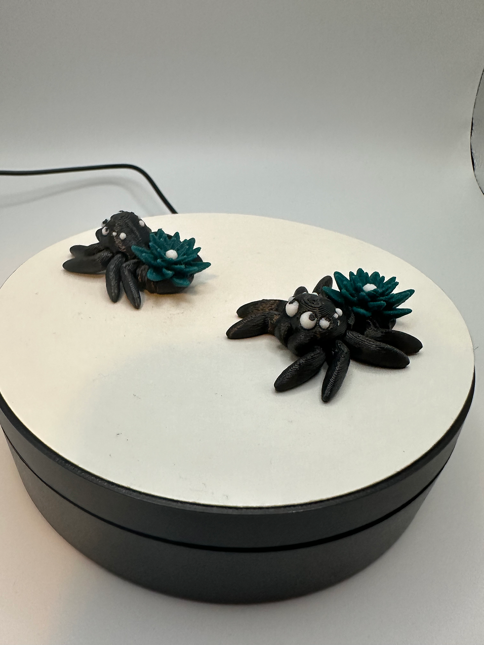 Thumbnail: Tiny Waterlily Spider