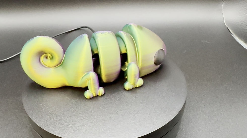 Thumbnail: Baby Chameleon