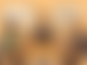 Cartoon-style illustration of a nonprofit leader sitting at a table with two consultants, one presenting a fundraising growth chart and the other showing a strategic planning diagram.