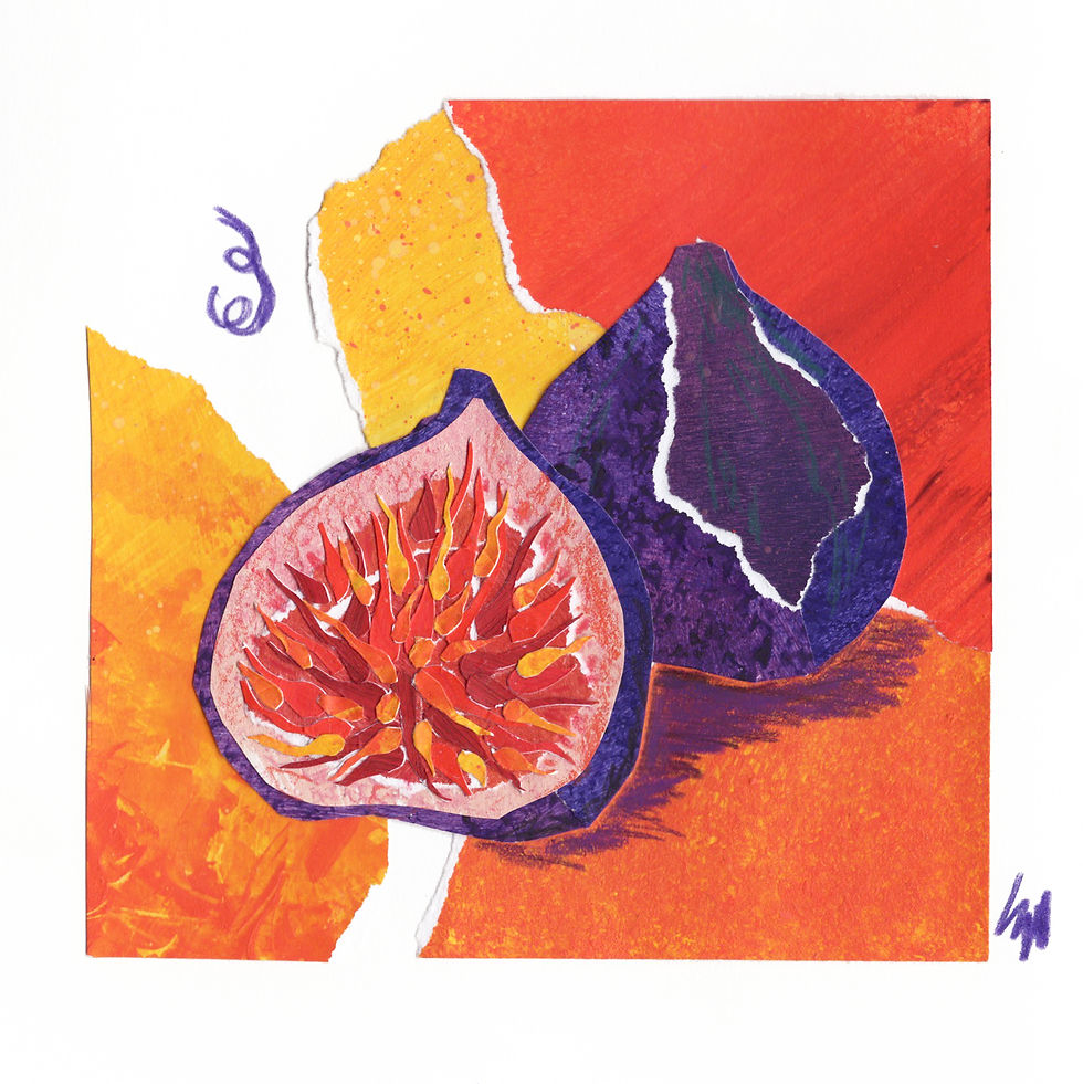 Miniature : Collage - Figues