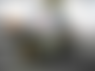 ダイハツ ウェイクのご紹介!