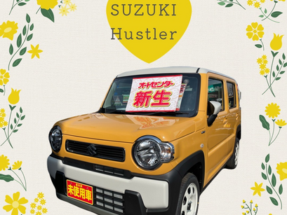 SUZUKI HUSTLER