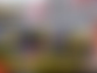 今週のYouTubeは!?