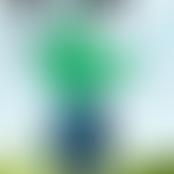 今週のバルーンは…🌱