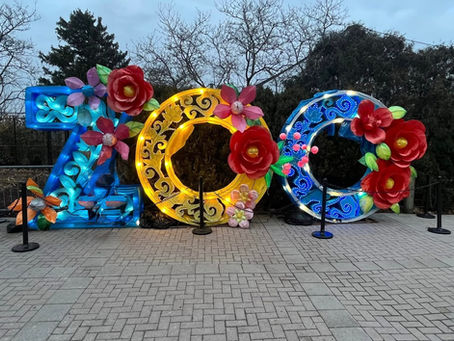 Holiday Magic Returns as Toledo Zoo Celebrates Lights Before Christmas