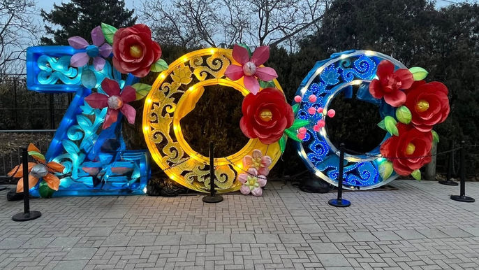 Holiday Magic Returns as Toledo Zoo Celebrates Lights Before Christmas