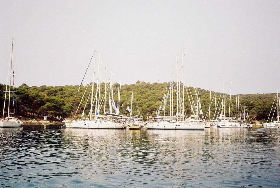 IMG-20240731-WA0005.jpg