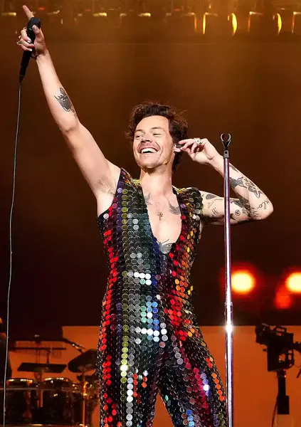 harry-styles-f863e01059524fd0bb3d45ba65c13917.webp