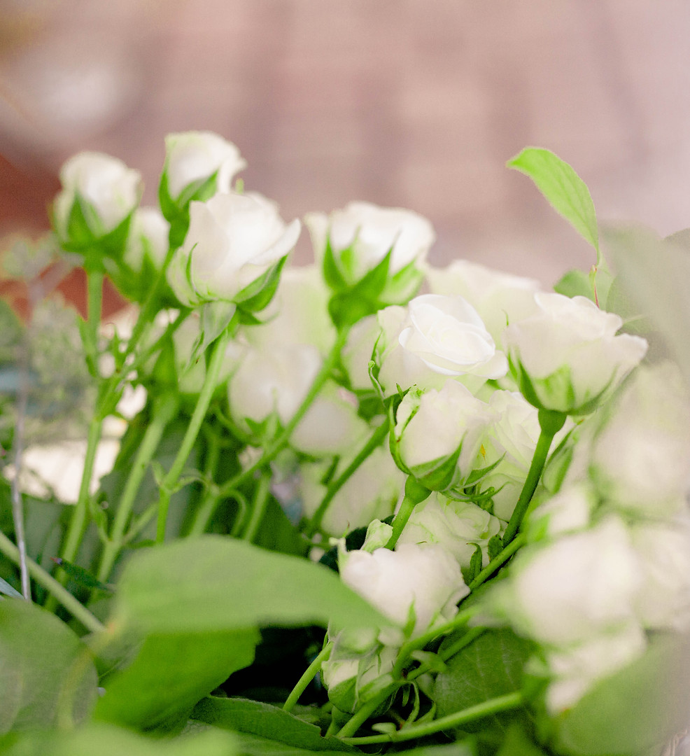 AKP Dashing Styled Shoot-32.jpg