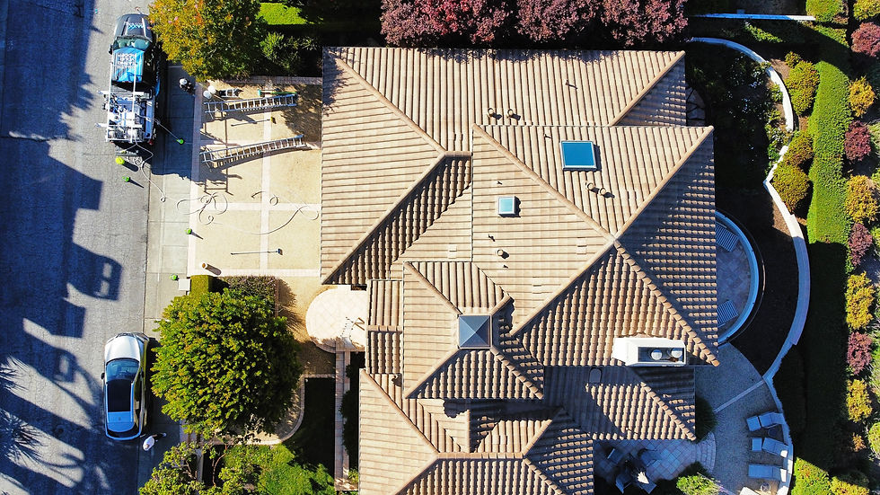 maxxecowash-roofsoftwashing-marin-millvalley-sausalito.jpeg
