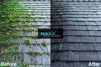 maxxecowash-algae-moss-removal-softwashing-bayarea-roofcleaning