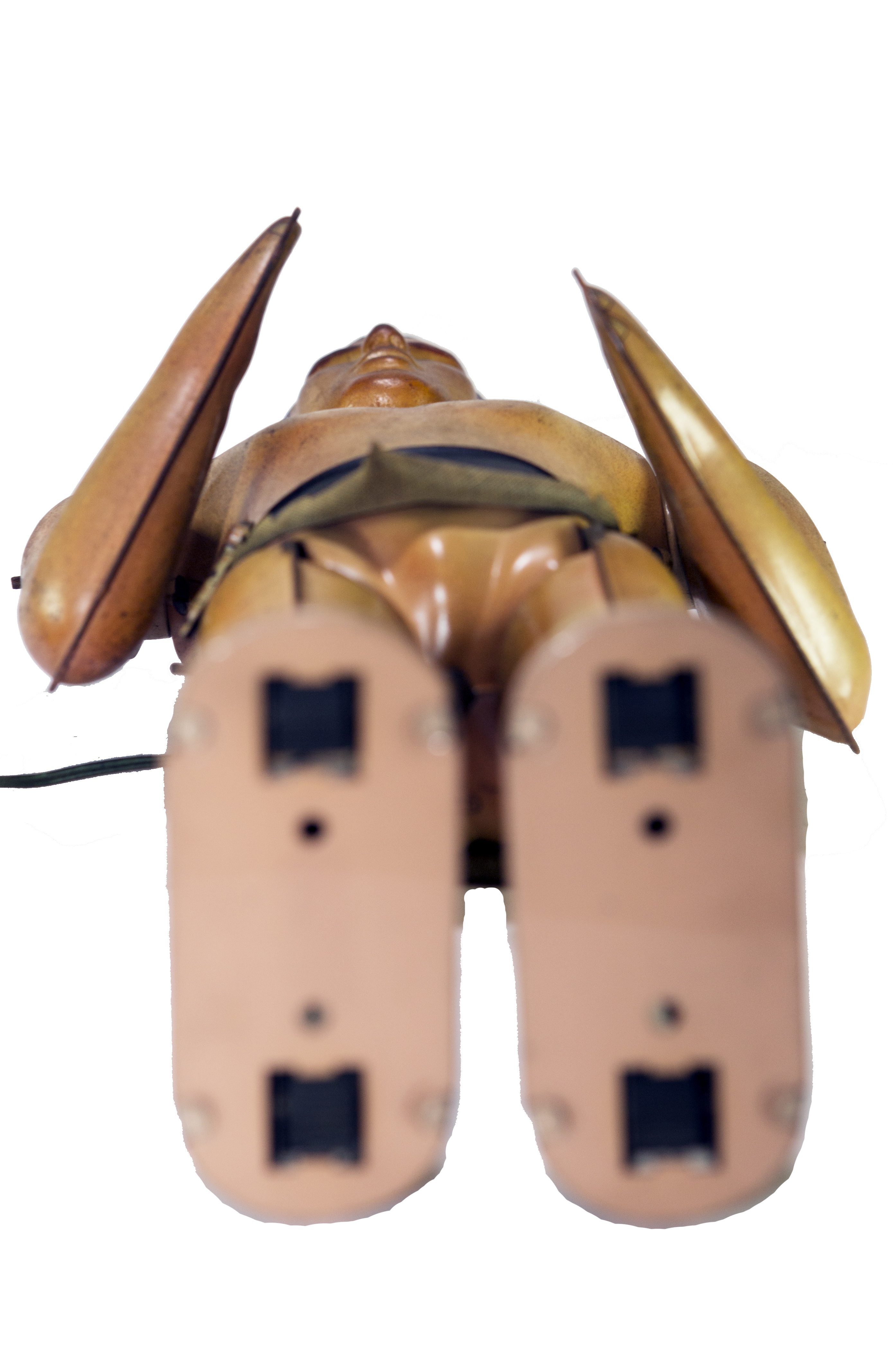 TARZAN WITH WIRED REMOTE CONTROL