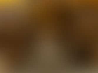 Harkat expands operations with Baghdad warehouse