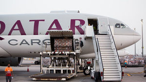 Qatar air cargo jumps 11% YoY, flights increase 6%