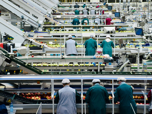 Kuwait, Egypt food exports hit record $6.33bn in 2025