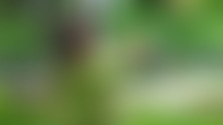 Bốn Cách Để Vun Đắp Niềm Vui Của Con Cái Trong Chúa