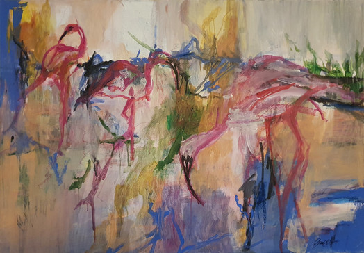 Flamingos