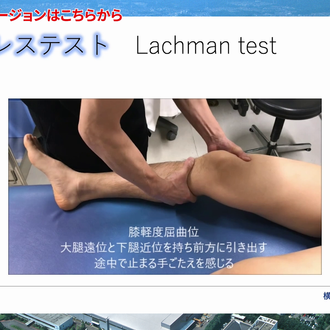 ハマセイプロジェクト | 横浜市立大学整形外科学教室 | 横浜市金沢区