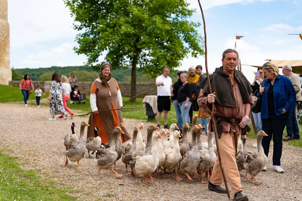 Défilé de gardiens d'oies en costumes médiévaux lors d'une fête historique en extérieur.we