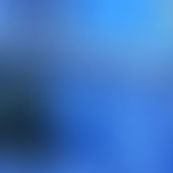 ¿Conoces la Oficina Española de Patentes y Marcas?