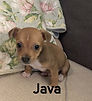 thumbnail_image1.jpg