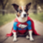 dog superhero_edited.jpg
