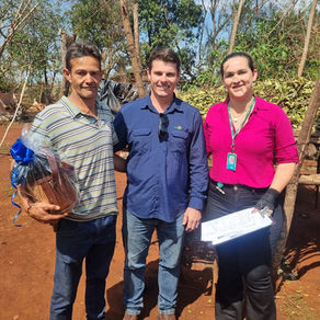 Sindicato Rural apoia e participa do 1º Dia de Campo da Erva-Mate em Laguna Carapã