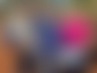 Sindicato Rural apoia e participa do 1º Dia de Campo da Erva-Mate em Laguna Carapã