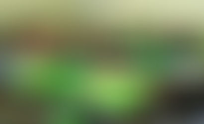 Aulas presenciais na Rede Estadual de Ensino retornam em 2 de agosto