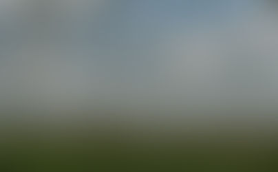 Nuvem de gafanhotos: praga exige monitoramento e preocupa autoridades no Brasil