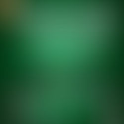 Laguna Carapã se prepara para a 26ª Festa do Pé de Soja Solteiro com grandes atrações e entrada gratuita