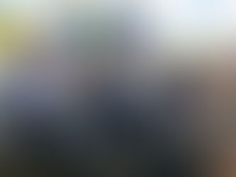 Vereadores entregam título de cidadão lagunense durante inauguração da pavimentação da MS 379