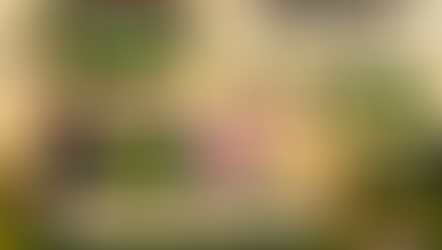 Laguna Carapã abre hoje a tradicional Festa do Pé de Soja Solteiro com shows e grande presença de expositores