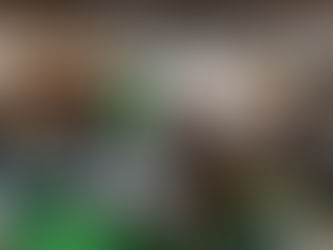 Loja Dominu's Sports inaugura em Laguna Carapã