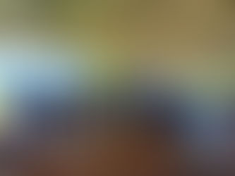 Vereadores acompanham agenda de eventos em comemoração do aniversário de Laguna Carapã