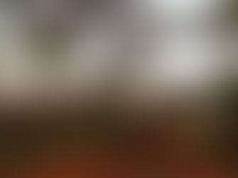 Tempestade derruba árvores e causa estragos em distritos de Dourados e Itaporã