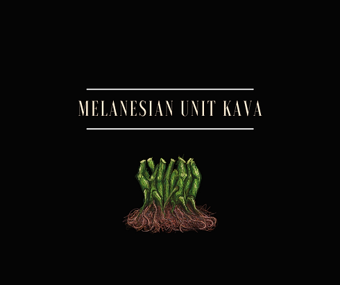 Copie de Melanesian Unit nakamal.png