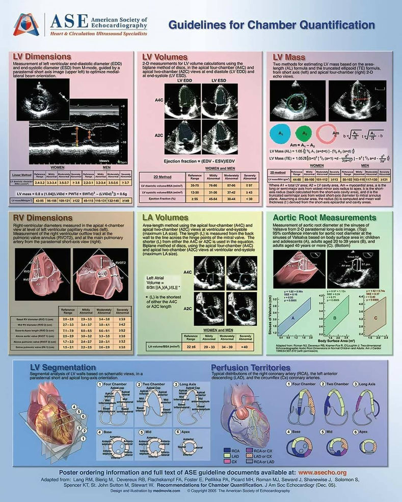 Posters from ASEcho.org