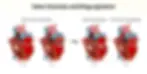 Visual of heart