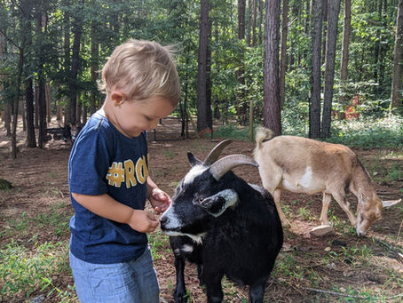 For the Family : A Weekend Sample Itinerary