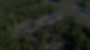 DJI_0248_edited.jpg