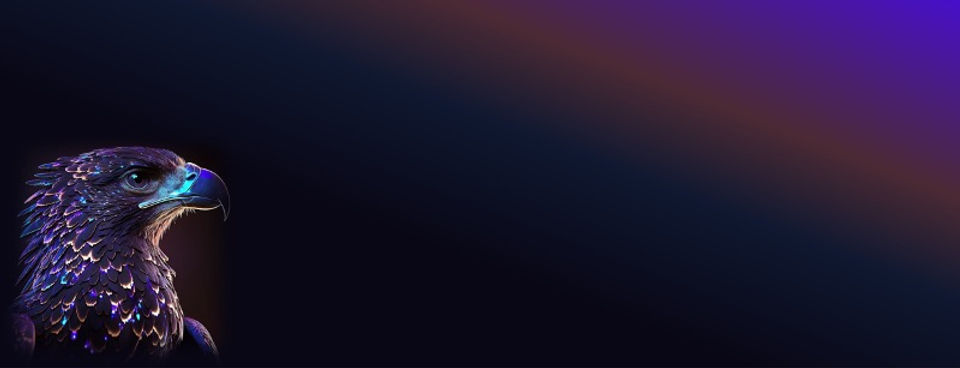 banner2.jpg