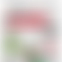 Fiordland Families Newsletter Issue 52 - September 2023