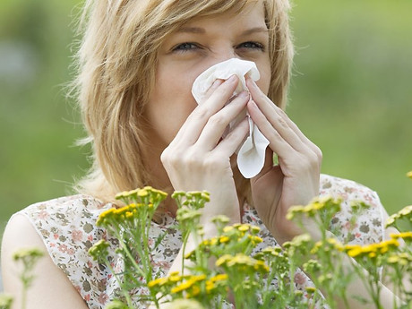 hayfever_allergy-1-1000x573.jpg