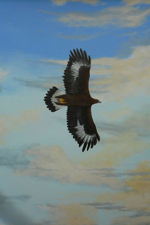 eagle, painting, national eagle center, wabasha, Minnesota, Susie, susy, monday, artist