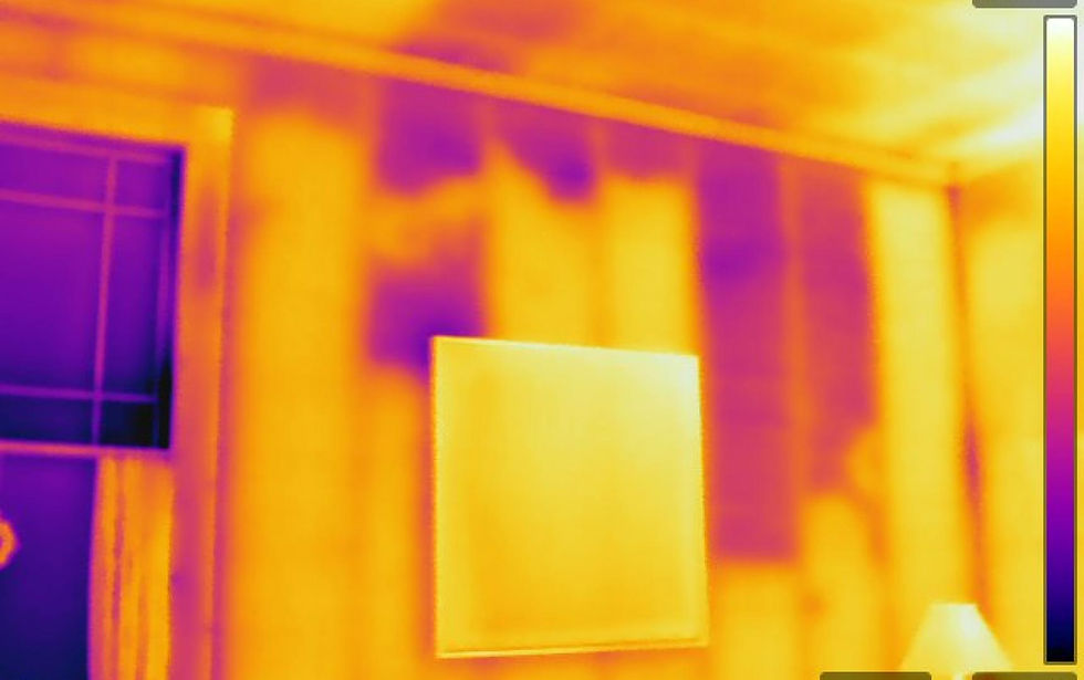 flir0799.jpg