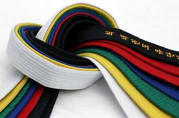 tae_kwon_do_belts1.jpg