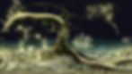 Xenobots_VR_Promo_kennedy+swan_small.jpg